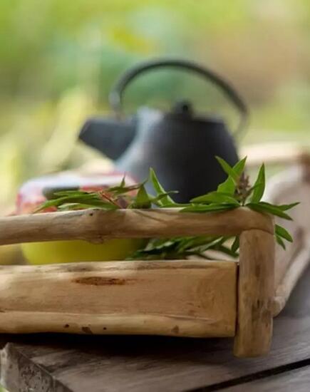 茶之灵，恩养人之性(图5)