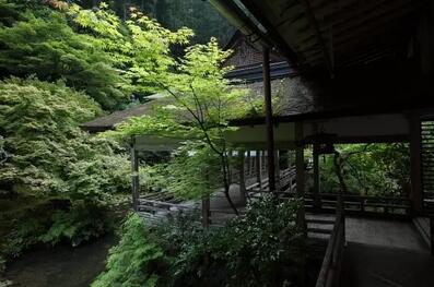 茶人 茶仙 茶奴(图1)