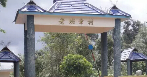 麻辣普洱茶史，你以为的可能都错了！(图5)