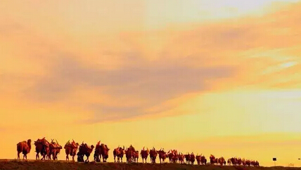 只有茶叶，成功地征服了全世界(图4)