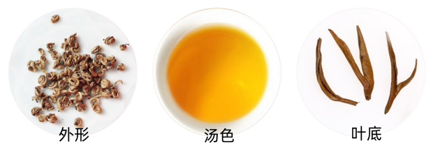 滇红金螺品质特征.png 滇红金螺品质特征.png