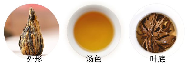 滇红宝塔品质特征.png 滇红宝塔品质特征.png