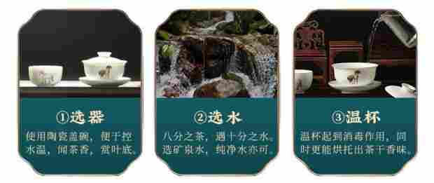 烟小种品茗1.png 烟小种品茗1.png