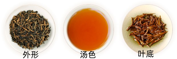 川红工夫茶外形.png