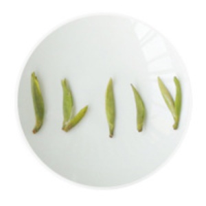 无锡毫茶的叶底.jpg 无锡毫茶的叶底.jpg