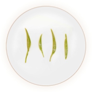 南山寿眉的叶底.jpg 南山寿眉的叶底.jpg