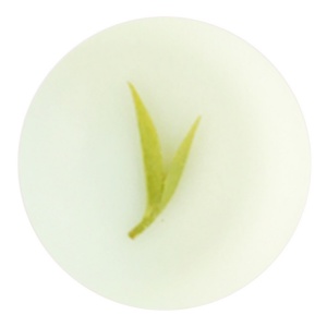 贵定云雾茶的叶底.jpg 贵定云雾茶的叶底.jpg