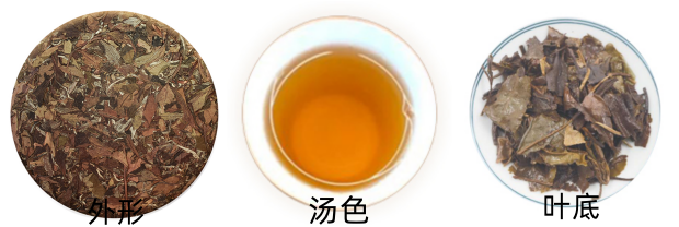 老白茶外形.png 老白茶外形.png