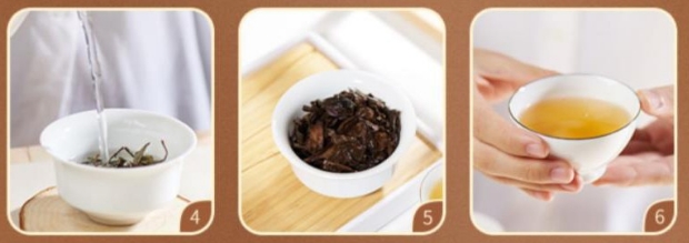 老白茶品茗指南2.png 老白茶品茗指南2.png