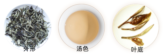 月光白外形.png 月光白外形.png