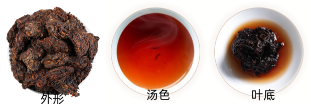 老头茶品质特征.png