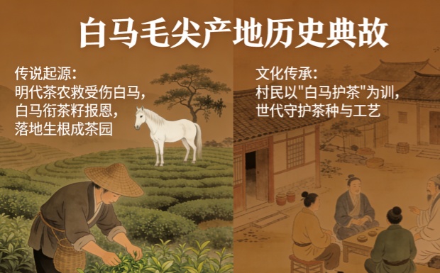 新对话_副本.jpg 新对话_副本.jpg