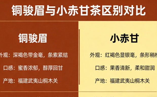 新对话_副本.jpg 新对话_副本.jpg