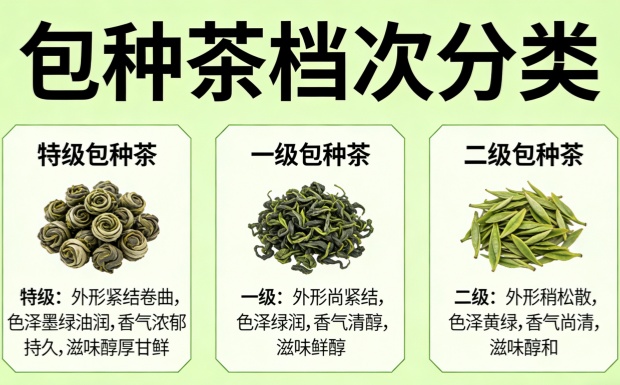 新对话-2_副本.jpg 新对话-2_副本.jpg