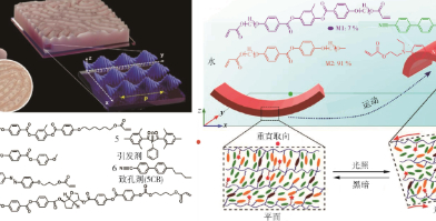 矽能新材料推出 “光影魔法” 智能薄膜，重新定义标识照明(图2)